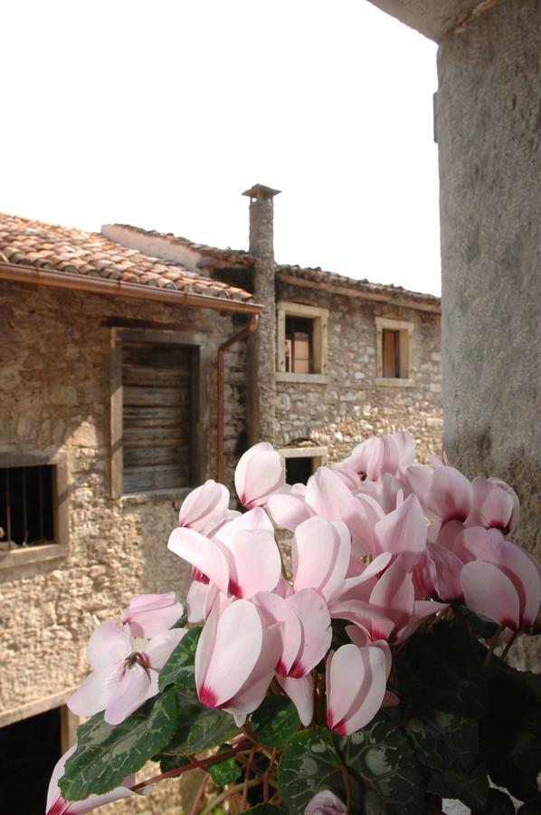 Albergo Diffuso Valcellina E Val Vajont In Erto Bagian luar foto